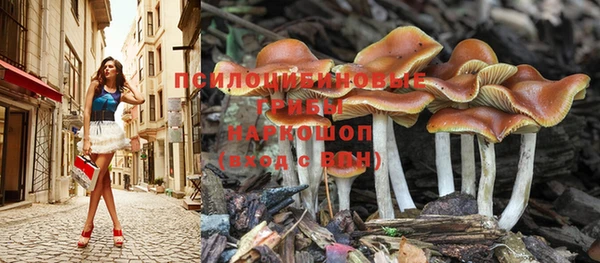 MDMA Корсаков