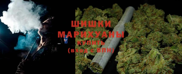 PSILOCYBIN Киренск