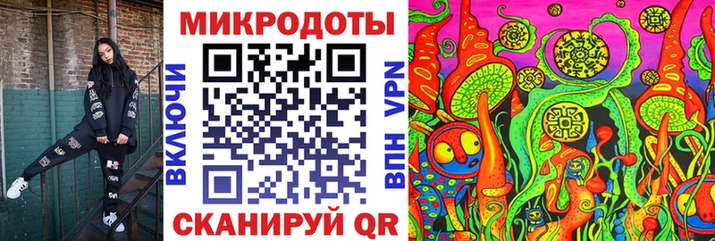 площадка клад  гидра ТОР  Куровское  купить закладку  Псилоцибиновые грибы Psilocybine cubensis 